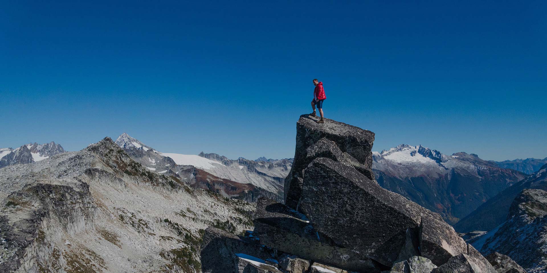 企事业单位门户网站开发