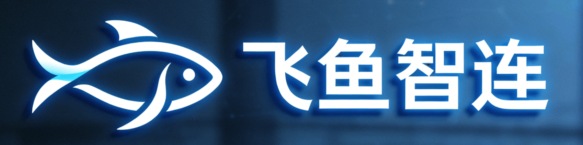 飞鱼智连 - 专业软件开发与网站建设
